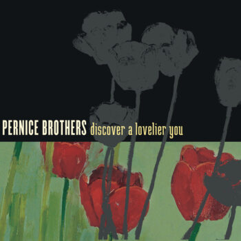 Pernice Brothers - Discover A Lovelier You