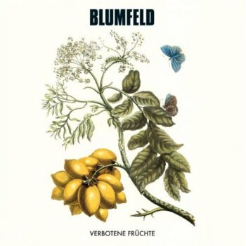 Blumfeld - Verbotene Früchte