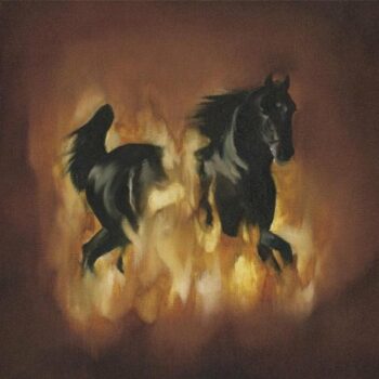 The Besnard Lakes - Are The Dark Horse