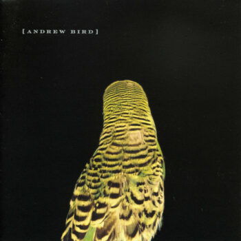 Andrew Bird - Armchair Apocrypha