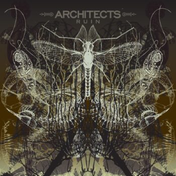 Architects - Ruin