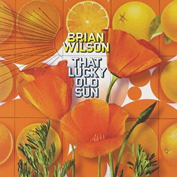 Brian Wilson - That Lucky Old Sun