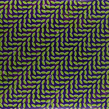 Animal Collective - Merriweather Post Pavilion