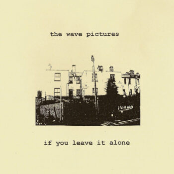 The Wave Pictures - If You Leave It Alone