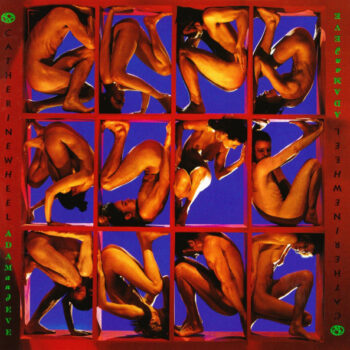 Catherine Wheel - Adam And Eve