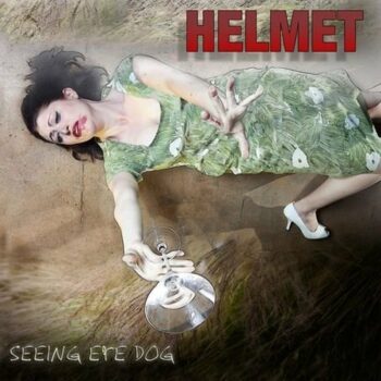 Helmet - Seeing Eye Dog