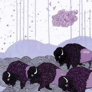 Plains Of The Purple Buffalo