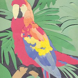 Algernon Cadwallader - Parrot Flies