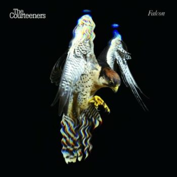 The Courteeners - Falcon