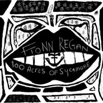 Fionn Regan - 100 Acres Of Sycamore