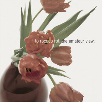 To Rococo Rot - The Amateur View