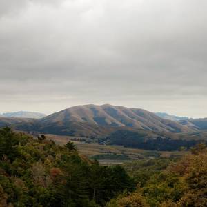 Dirty Projectors - Mount Wittenberg Orca (mit Björk)