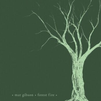 Mat Gibson - Forest Fire