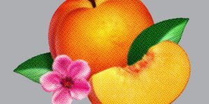 Phoenix – Pleite!