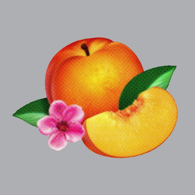 Phoenix – Pleite!