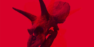 Alice In Chains – Zweite Single