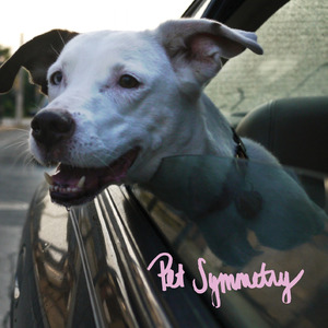 Pet Symmetry - 