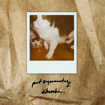 Pet Symmetry - Pet Symmetry/Dikembe