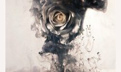 Editors – Alles Wichtige