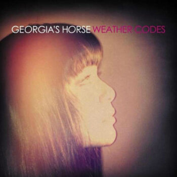 Georgia's Horse - Weather Codes