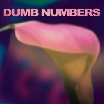 Dumb Numbers - Dumb Numbers