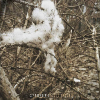 Cold Ground