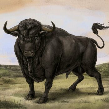 San Fermin