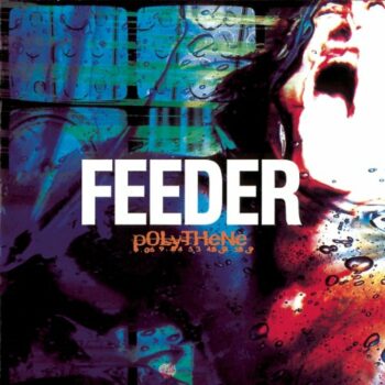 Feeder - Polythene