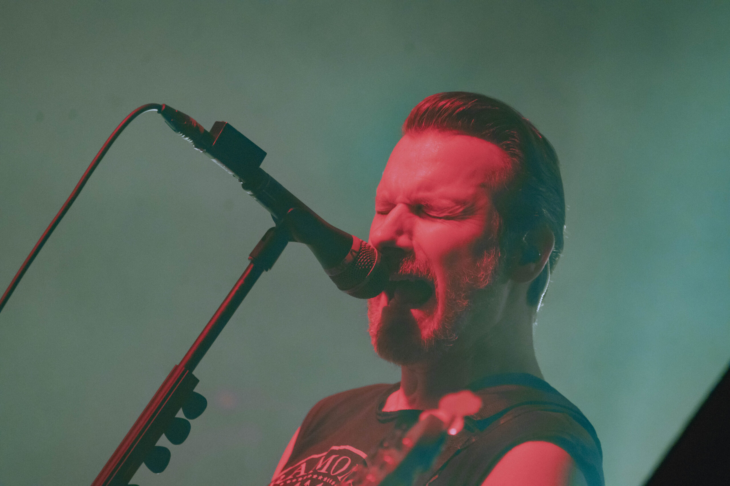 Donots, Rosenhof (Foto: Christian Abbel)