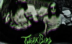 Tweak Bird stellen Song vom neuen Album vor