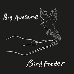 Big Awesome - Birdfeeder