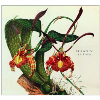 Botanist - VI: Flora