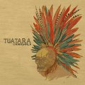 Tuatara