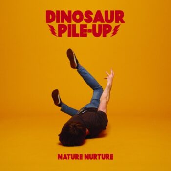 Dinosaur Pile-Up - Nature Nurture