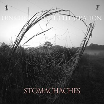 Frank Iero - Stomachaches