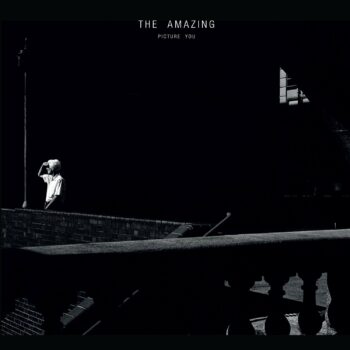 The Amazing - Picture You