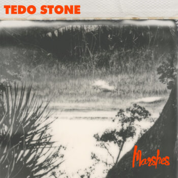 Tedo Stone - Marshes