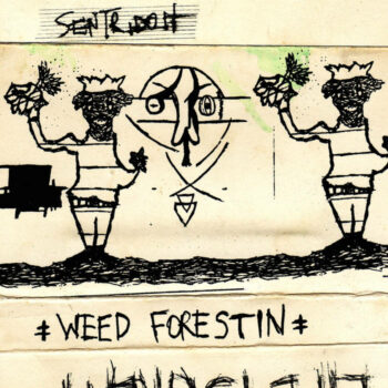 Weed Forestin'