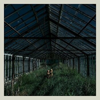 Foxing - Dealer