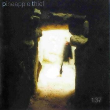 The Pineapple Thief - 137