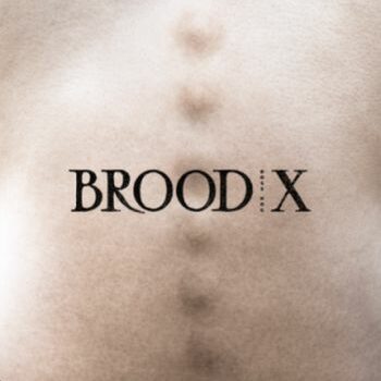 Brood X