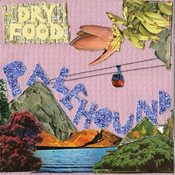 Palehound - Dry Food