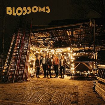 Blossoms - Blossoms