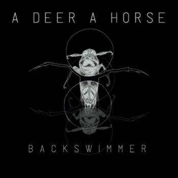 A Deer A Horse - Backswimmer