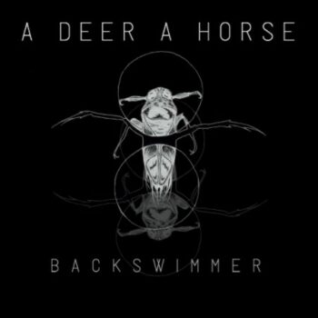 Backswimmer