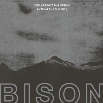 Bison - You Are Not The Ocean You Are The Patient