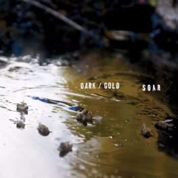 Soar - Dark / Gold