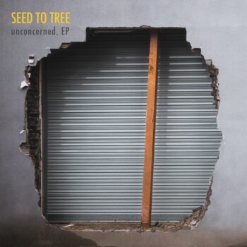 Seed to Tree - Unconcerned