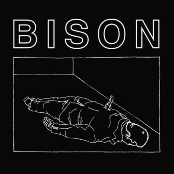 Bison - One Thousand Needles