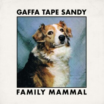 Gaffa Tape Sandy - Family Mammal (EP)